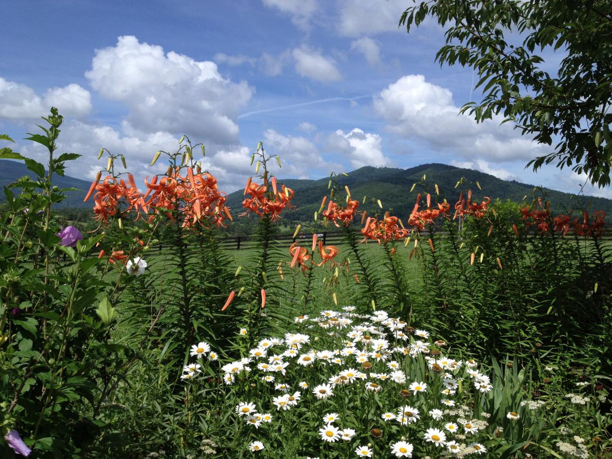 Montfair Resort Farm Crozet Zewnętrze zdjęcie