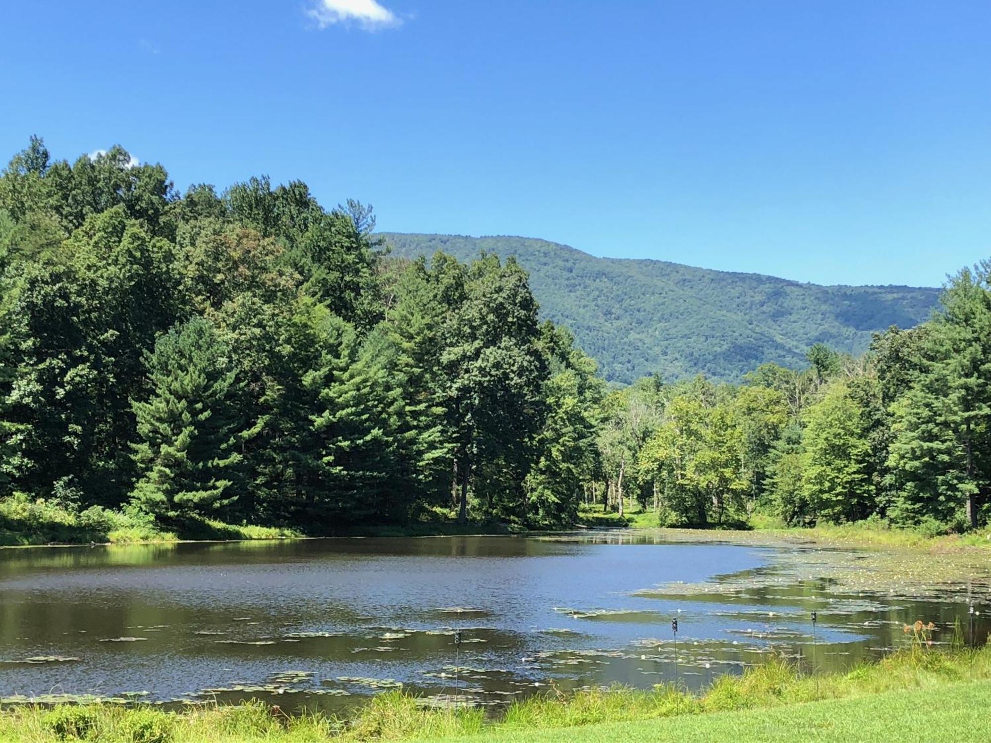 Montfair Resort Farm Crozet Pokój zdjęcie