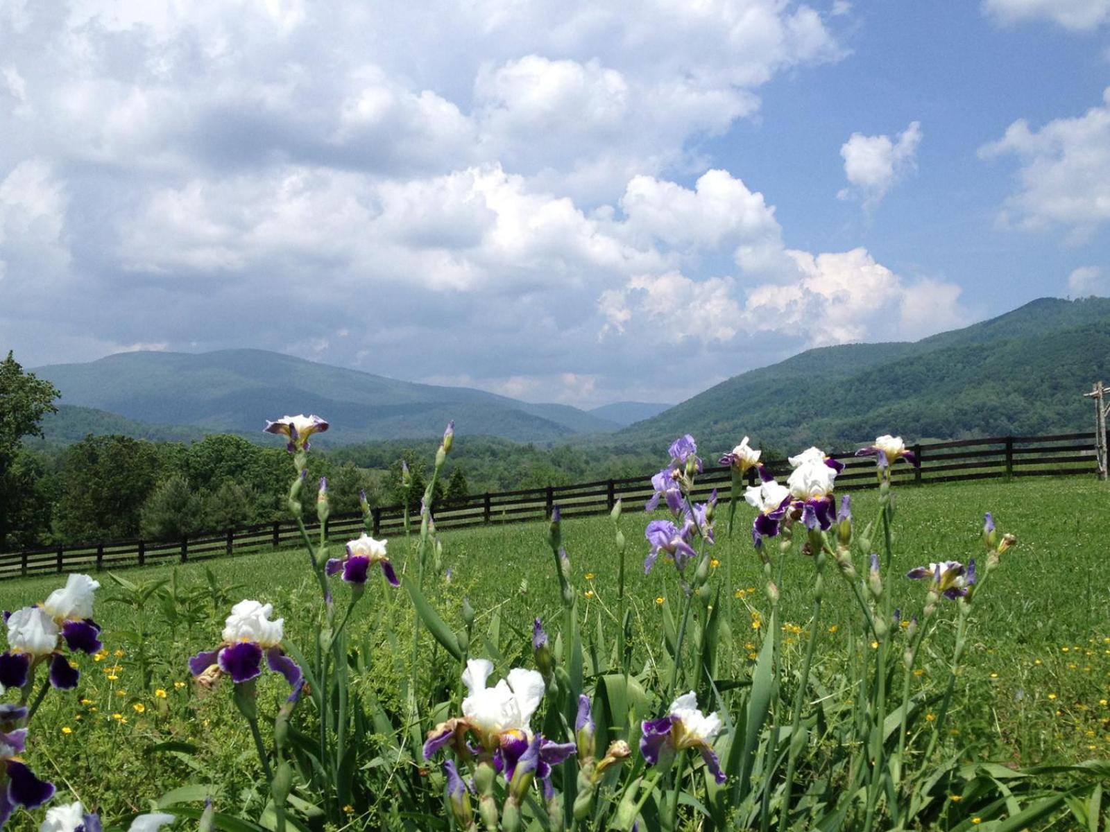 Montfair Resort Farm Crozet Pokój zdjęcie
